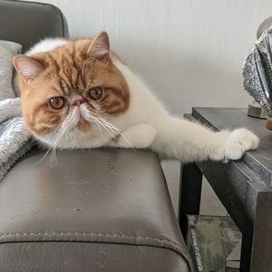 Nothing I am just trying to buy clothes